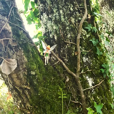 Hébergement de vacances La Maison Hobbit Troglodyte Lavaurette
